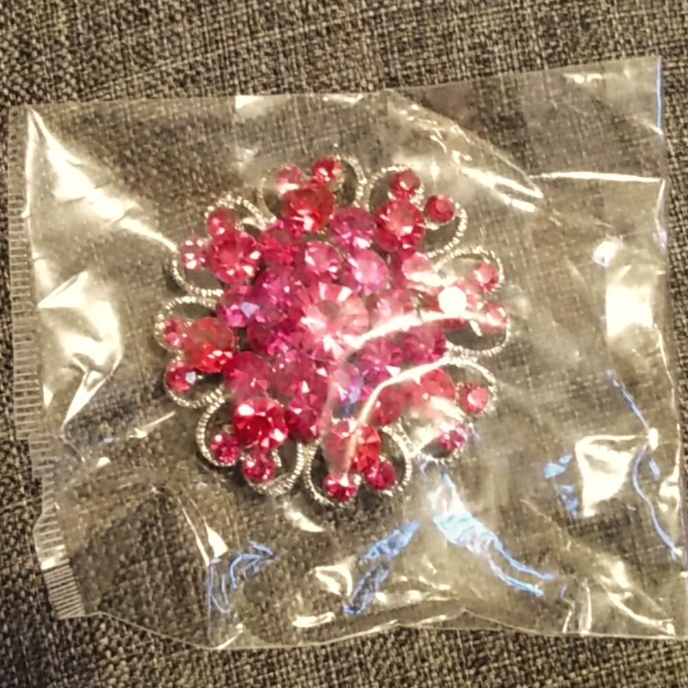 Ladies Broach ( Jewelry and Accessories )
